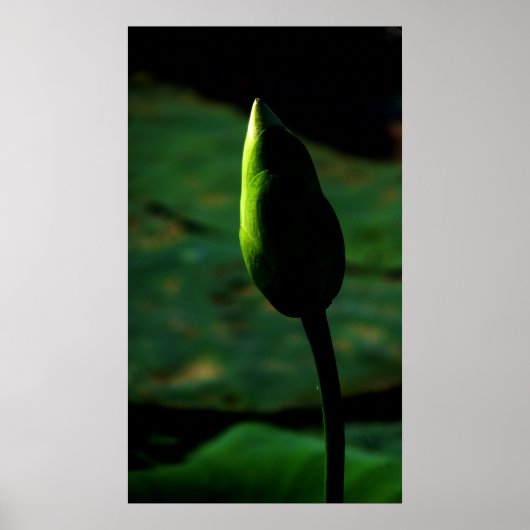 偉大な地位を得る ポスター (正面)