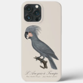 偉大な黒いヤシのオウム、プロボシガー・アテリムス Case-Mate iPhoneケース (裏面)
