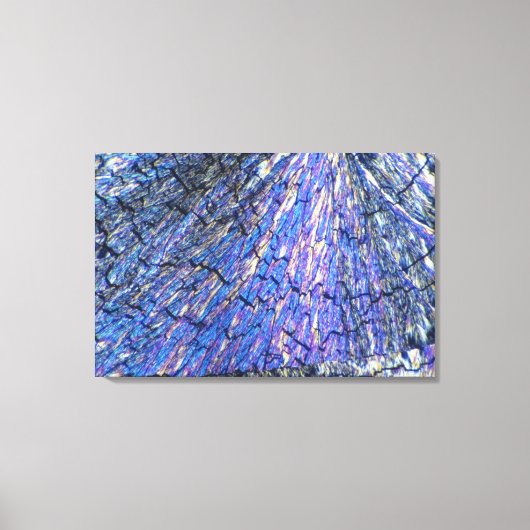 偏光で見たコレステロール結晶2 キャンバスプリント (正面)