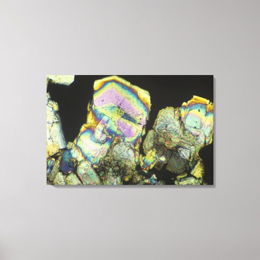 偏光で見た糖結晶2 キャンバスプリント (正面)