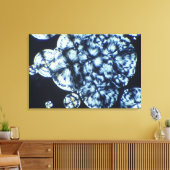 偏光で見られるコレステロール結晶 キャンバスプリント (インサイチュ (リビング))