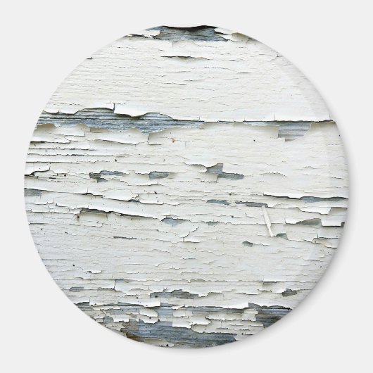 偏平絵を描大丸磁石 マグネット (正面)