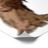 偏狭な ポスター (角)