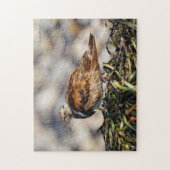 停止する赤いターンストーンのショアバード ジグソーパズル (縦)