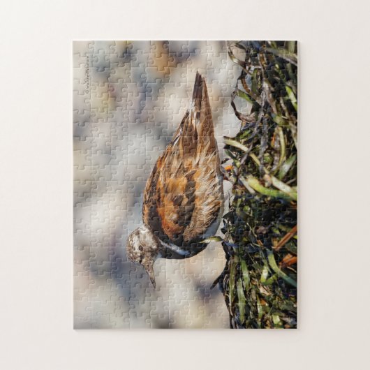 停止する赤いターンストーンのショアバード ジグソーパズル (縦)