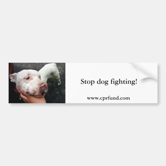 停止犬の戦い! バンパーステッカー (正面)