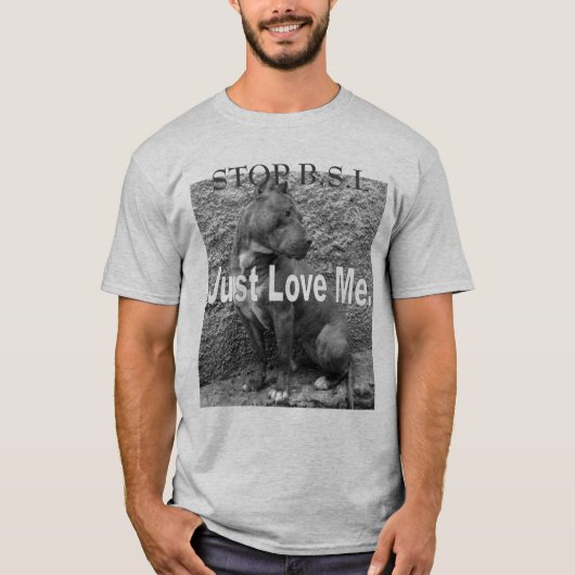 停止B.S.L Tシャツ (正面)