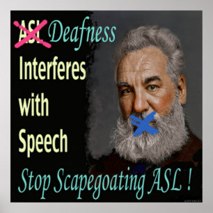 停止Scapegoating ASL! 24" x 24" ポスター