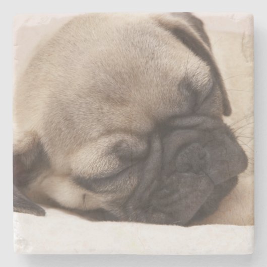 健全に眠っている子犬 ストーンコースター (正面)
