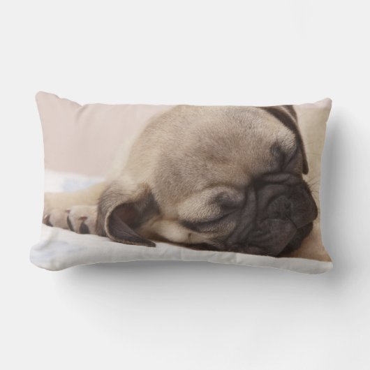 健全に眠っている子犬 ランバークッション (正面)