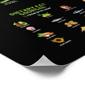 健康とフィットネスのインフォグラフィック-ダイエットとエクササイズ ポスター (角)