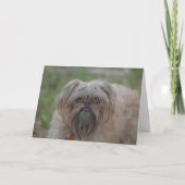 健康なカードユーモアをまたは失礼得て下さい カード (正面)