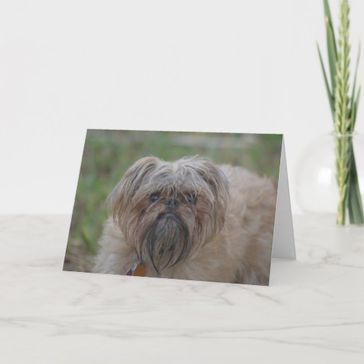 健康なカードユーモアをまたは失礼得て下さい カード (正面)