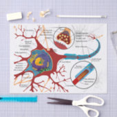 健康なニューロン神経 薄葉紙 (クラフト)