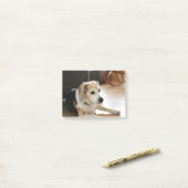 健康なビーグル犬の子犬のクローズアップ ポストイット (デスク上)