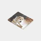 健康なビーグル犬の子犬のクローズアップ ポストイット (アングル)