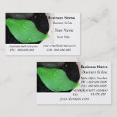 健康な名刺 名刺 (正面/裏面)