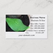 健康な名刺 名刺 (裏面)