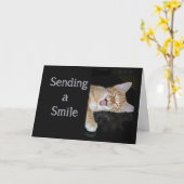 健康な抱擁、キス及びスマイルのかわいい微笑猫を得て下さい カード (黄色い花)