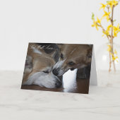 健康な挨拶状をすぐに得て下さい カード (黄色い花)