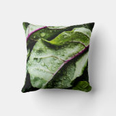 健康な果実 クッション (裏面)