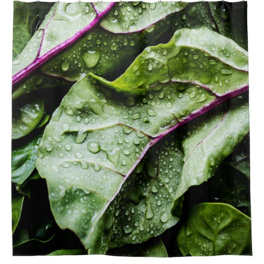 健康な果実 シャワーカーテン (正面)