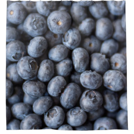 健康な果実 シャワーカーテン (正面)