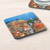 健康な礁の構造、Komodoの国立公園 コースター (左側)