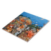 健康な礁の構造、Komodoの国立公園 タイル (側面)