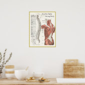 健康な背骨、強い体カイロプラクティックポスター ポスター (キッチン)