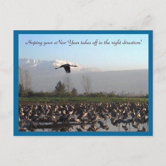 健康な郵便はがきを始める新年 シーズンポストカード (正面)