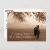 健康な馬の獣医のアポイントメントのアラーム ポストカード (正面/裏面)