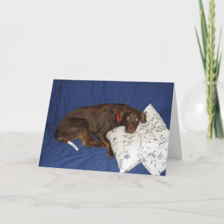 健康なJakeを得て下さい カード