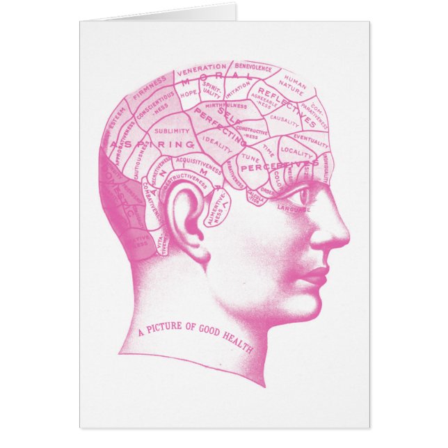 健康写真脳 (正面)