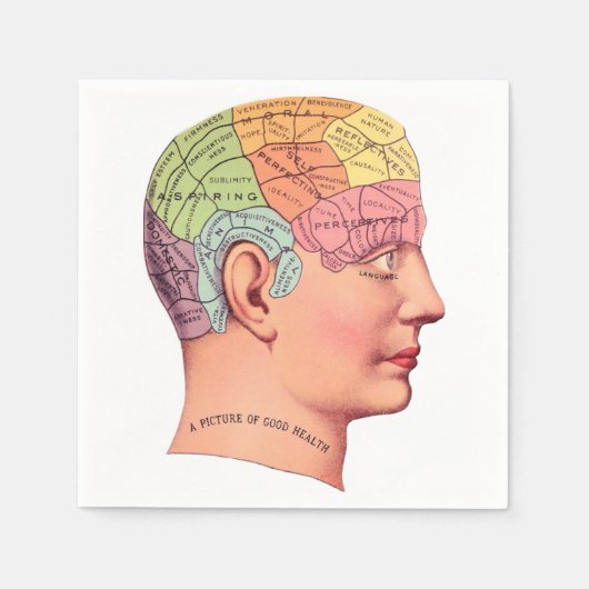 健康写真 スタンダードカクテルナプキン (正面)