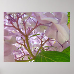 健康治療のTouchの芸術のギフトのアジサイの花 ポスター
