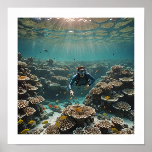 健康的なサンゴ礁を楽しむダイバー ポスター (正面)