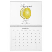 健康(含まれている健康な先端)のフルーツ カレンダー (3月 2027)