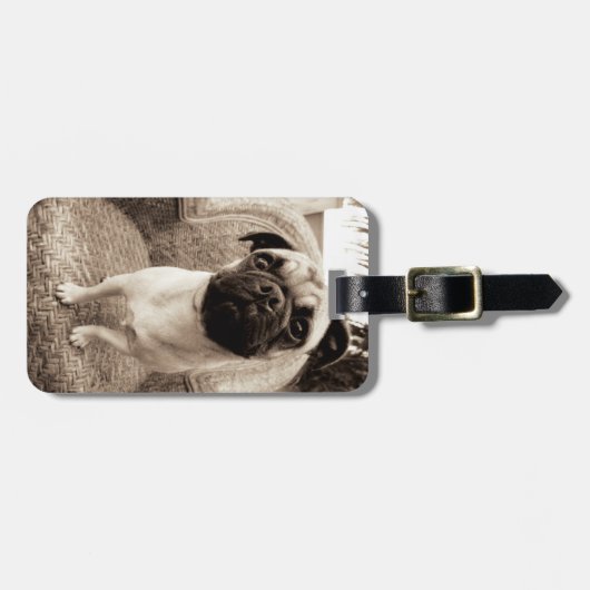 側面にタイトルを付けられる頭部が付いているパグ ラゲッジタグ (正面横)