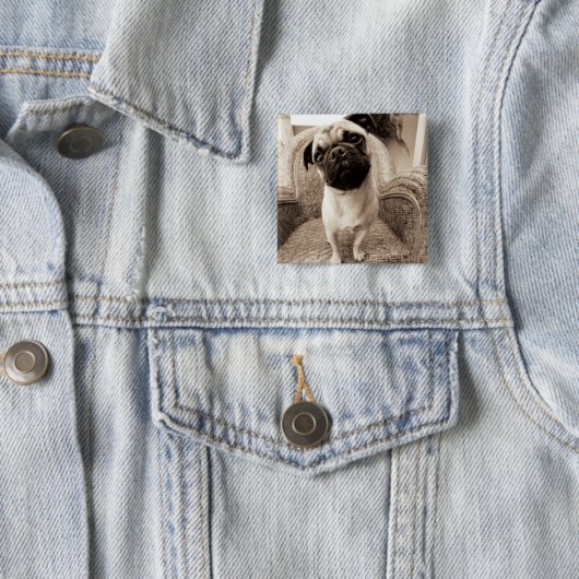 側面にタイトルを付けられる頭部が付いているパグ 缶バッジ (インサイチュ)