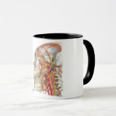 側頭下化石マグカップ マグカップ (正面右)