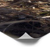 偵察の観察者は観察技術を実践する ポスター (角)