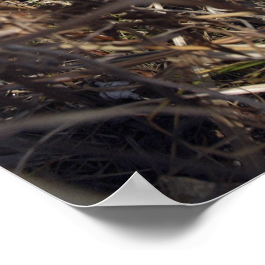 偵察の観察者は観察技術を実践する ポスター (角)