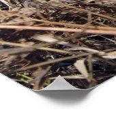 偵察の観察者は観察技術を実践する ポスター (角)