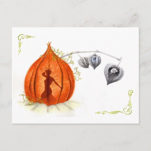 偵察船フェイ ポストカード (正面)