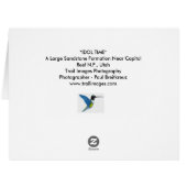 "偶像時間" (裏面横)