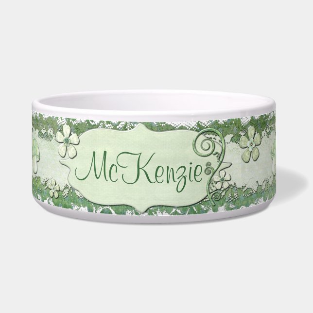 偶然お洒落混合媒体 ボウル (正面)