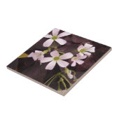 偽のシャムロックOxalis Triangularis タイル (側面)