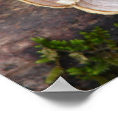 偽のトルコの尾の真菌のMossyログポスター ポスター (角)