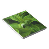 偽のヘラボーに降りかかる ノートパッド (アングル)